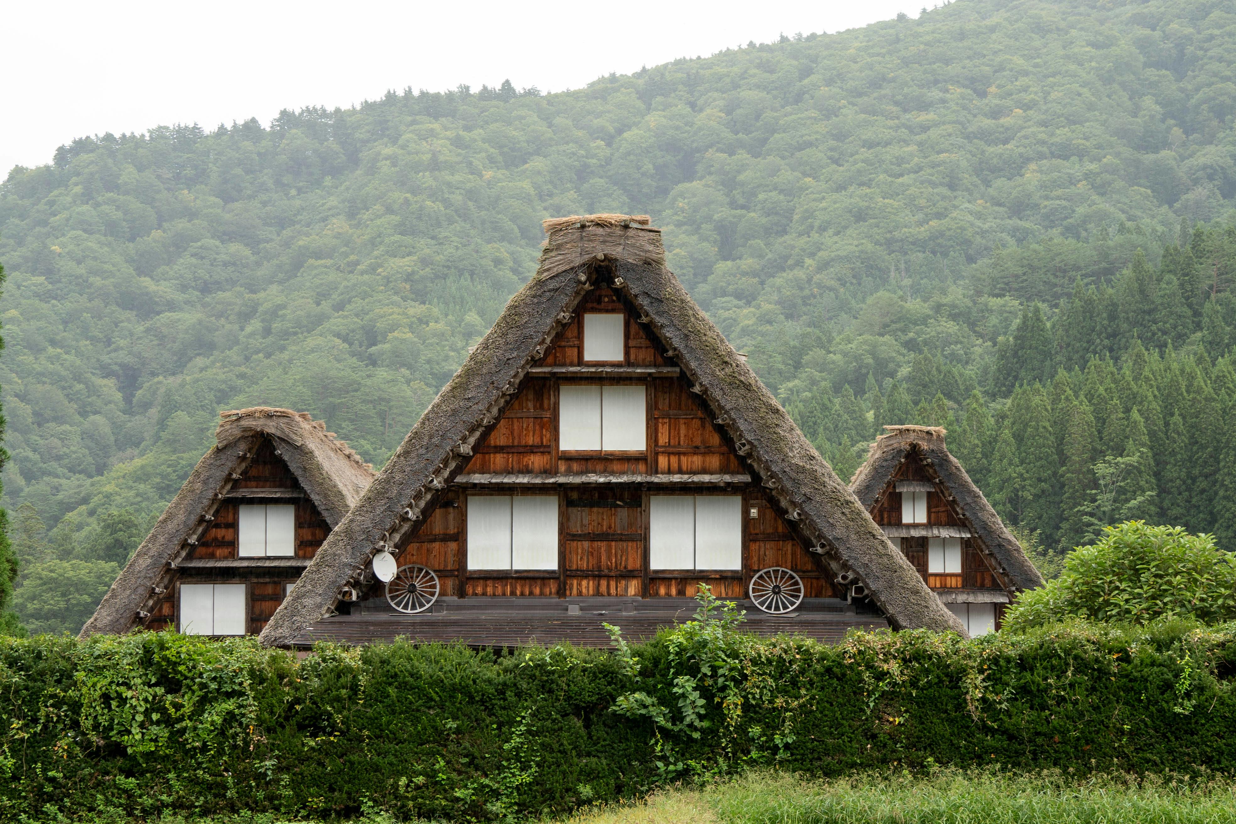 Traditional Gassho-Zukuri houses in a scenic Japanese village.