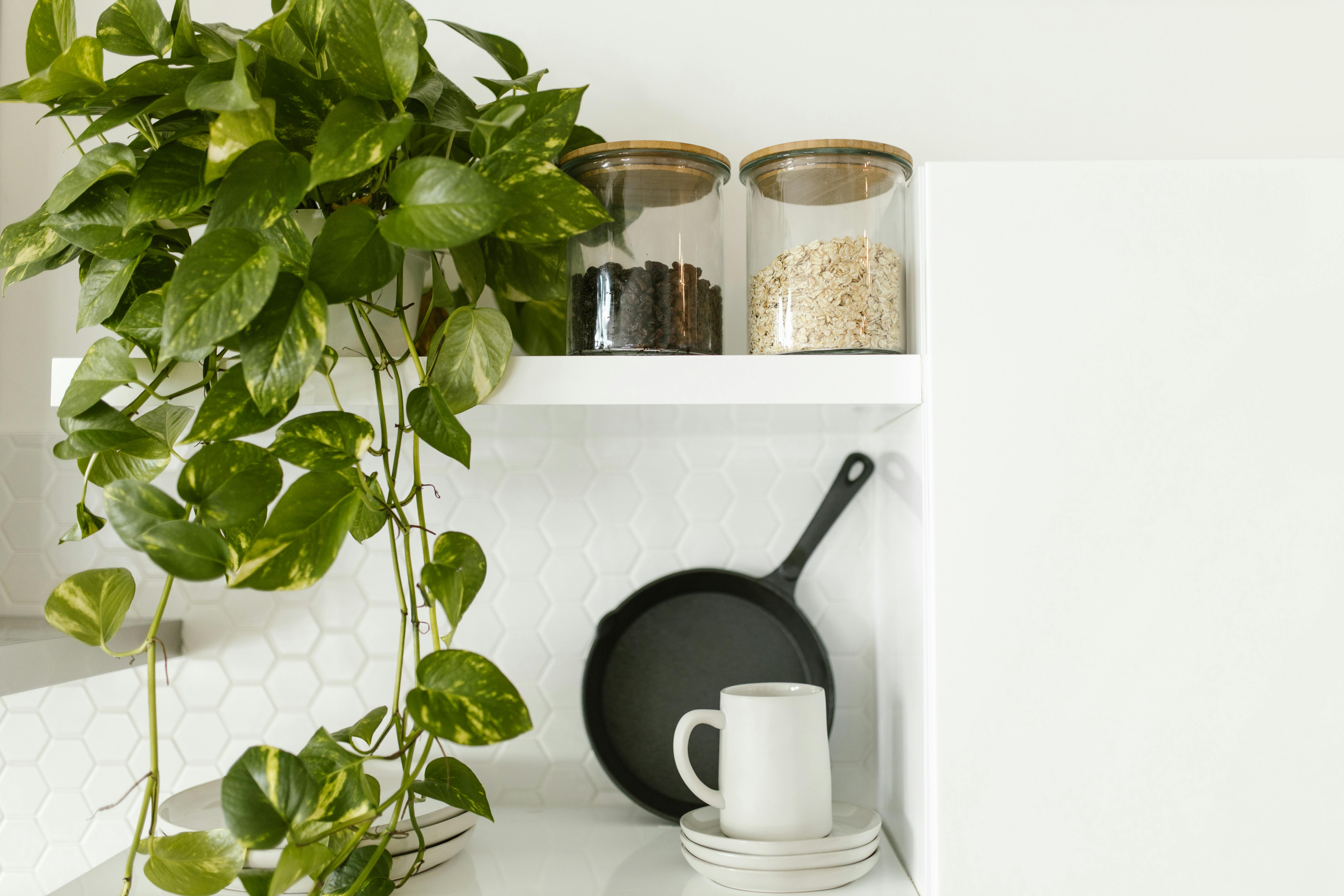 Living wall with lush greenery placed next to a shelf, adding a natural touch to the interior space.