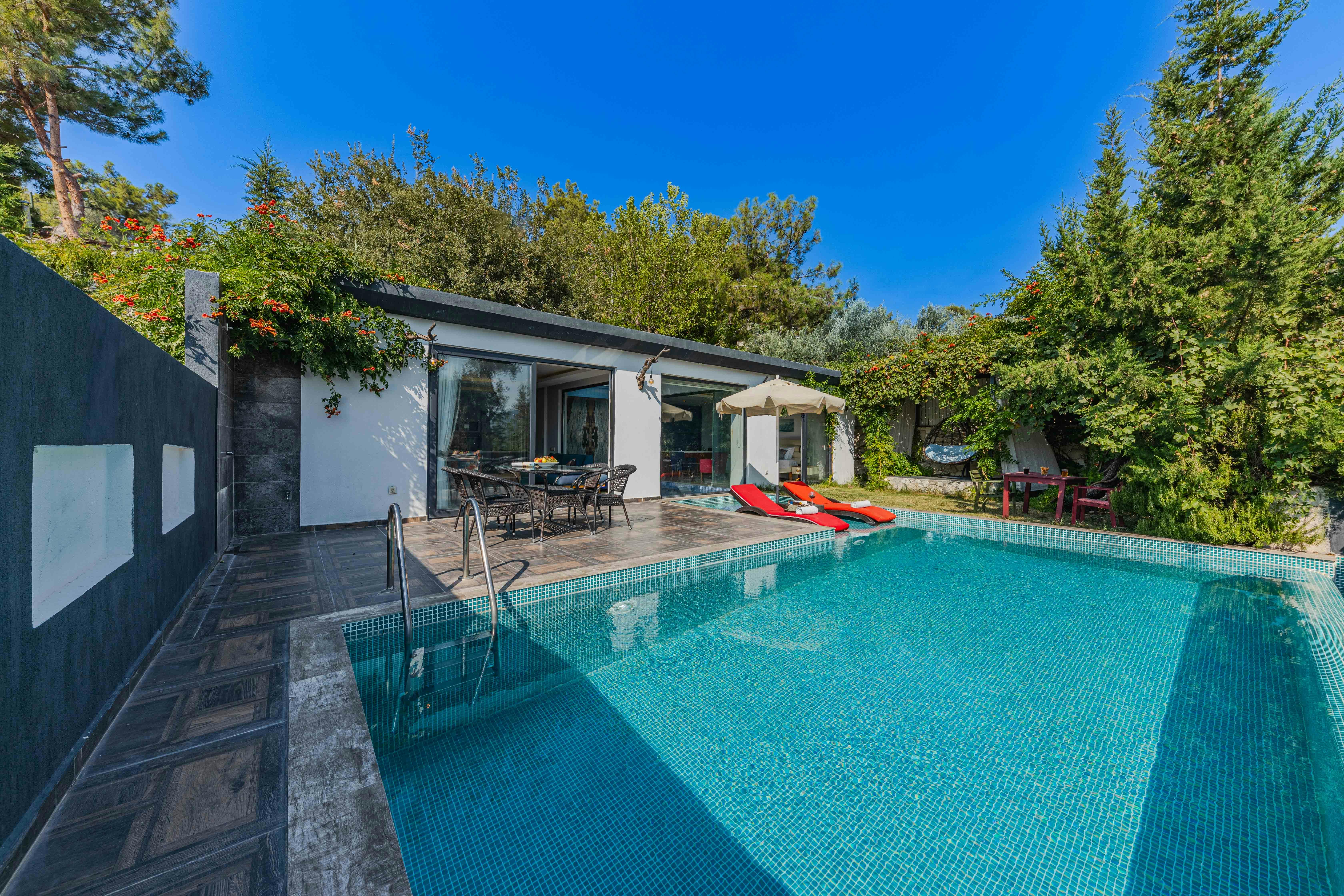 Modern backyard swimming pool surrounded by tall trees for privacy.