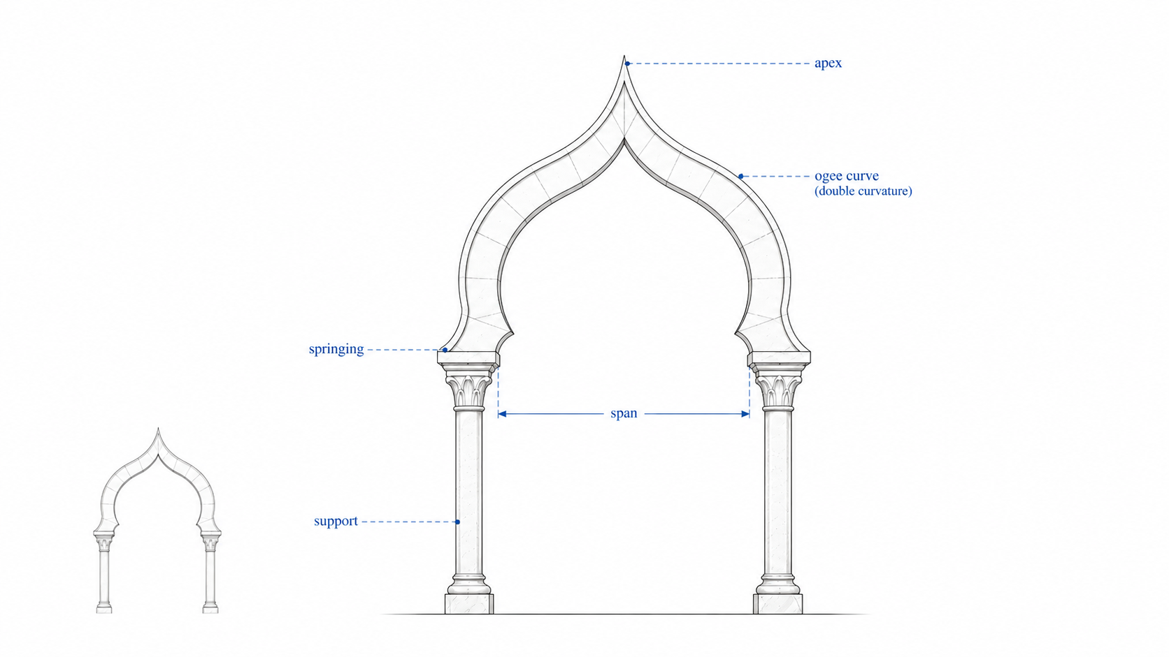 Diagram of an ogee Islamic arch showing the double curve, apex, springing point, span, and supporting columns.