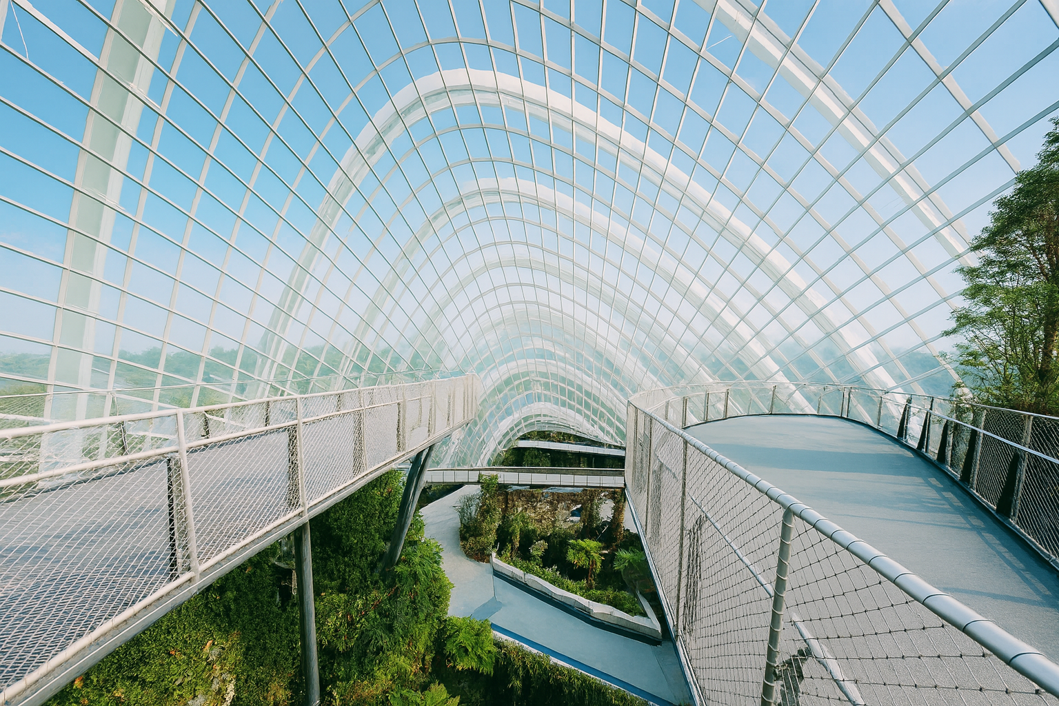 Large greenhouse in Singapore filled with trees and plants.