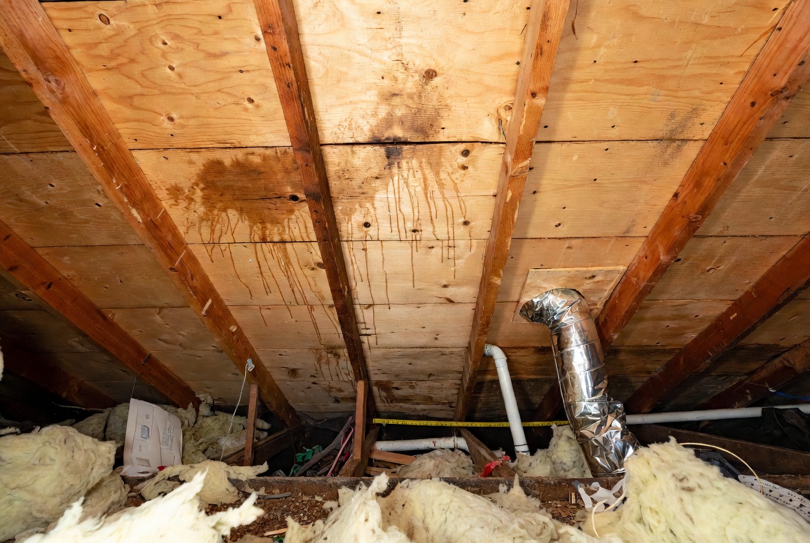 Older attic with stained roof sheathing, insulation, and poor bathroom exhaust ducting.