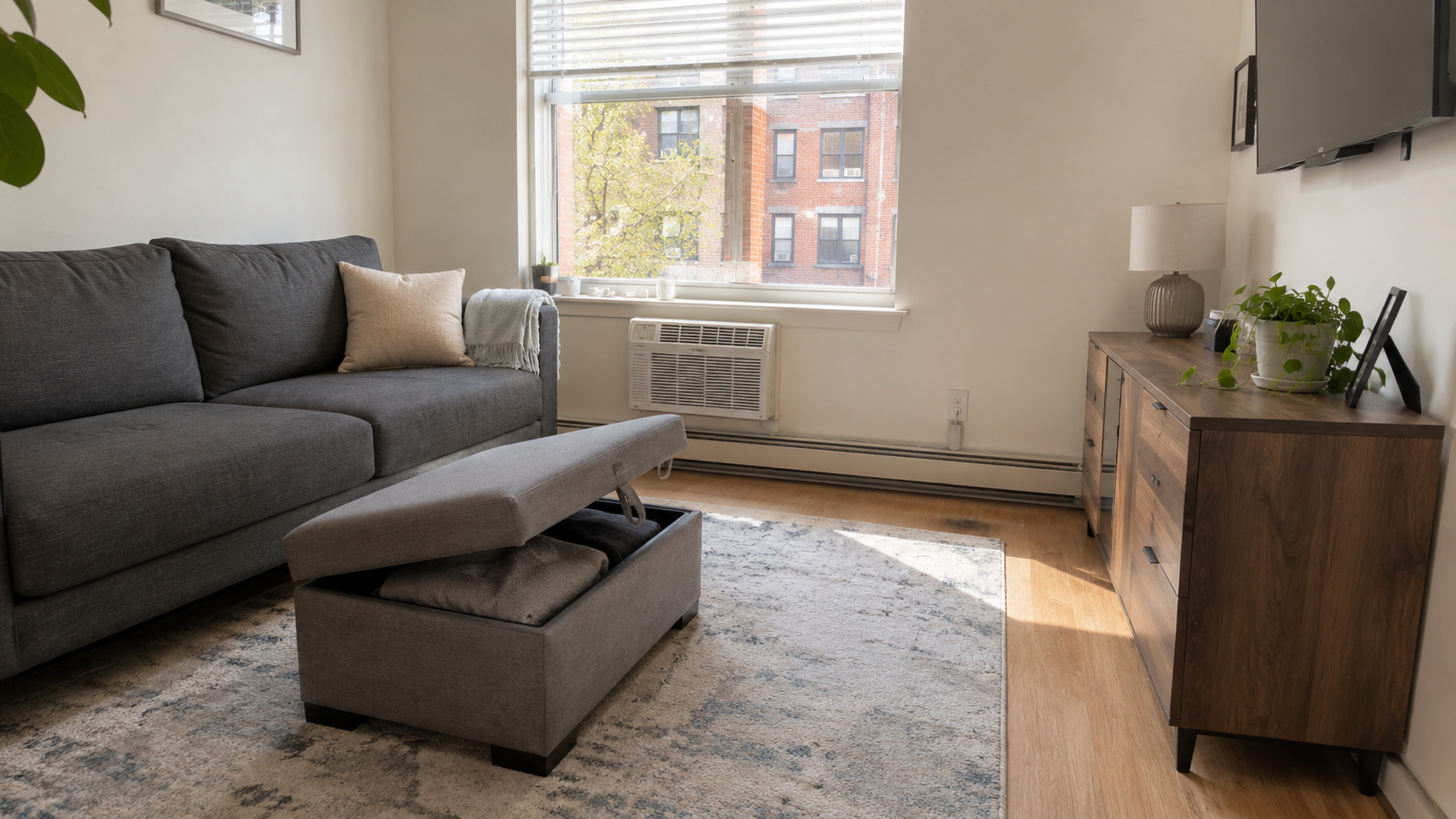 Small living room with storage ottoman, closed cabinet, and reachable hidden storage.