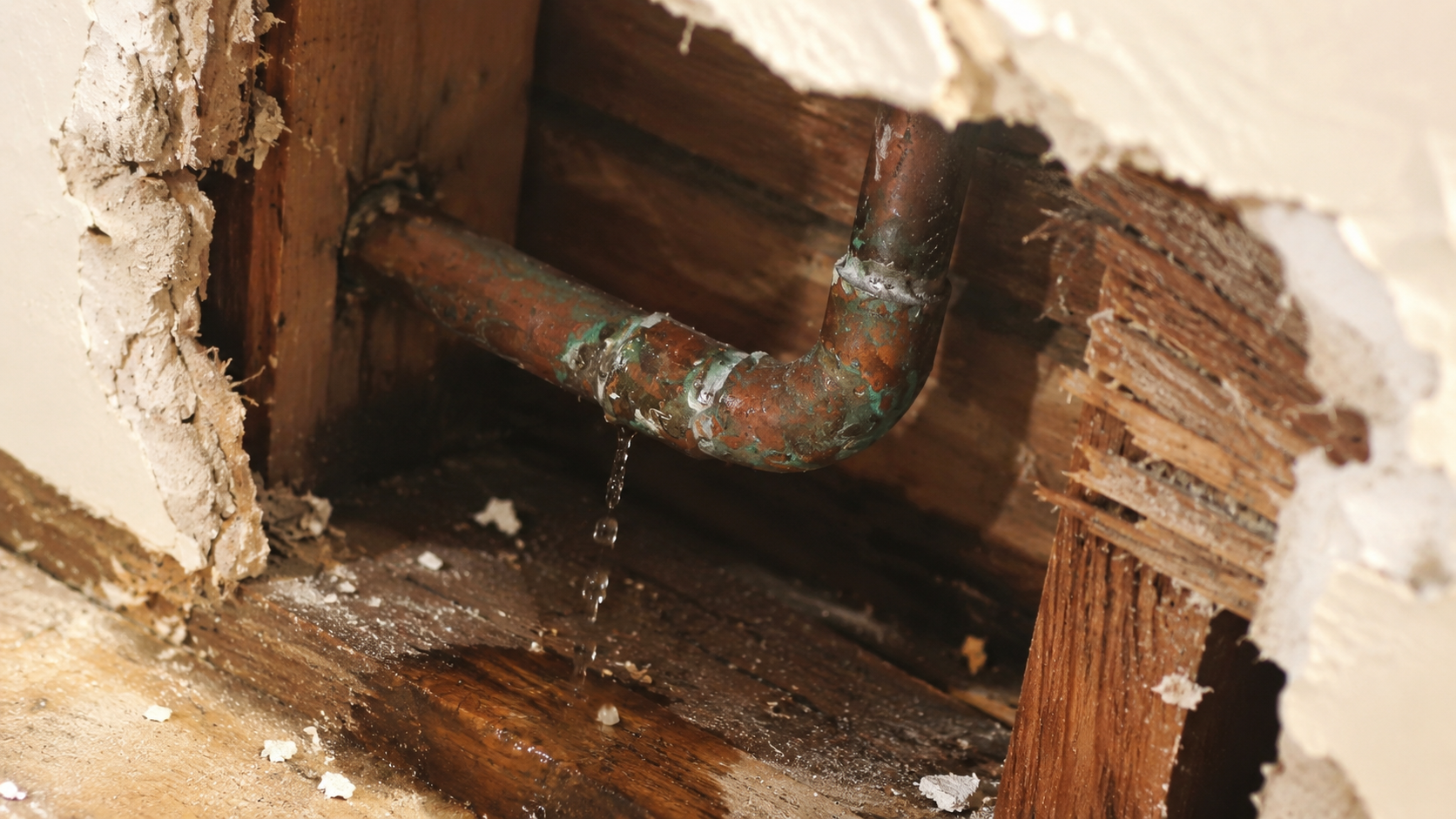 Leaking copper pipe inside a damaged wall cavity dripping onto wet wood.