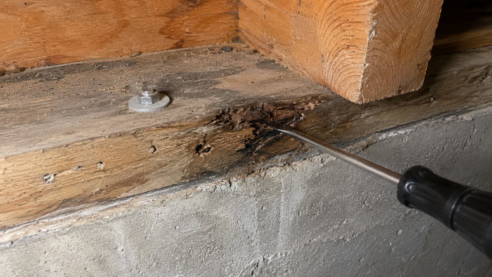 Tool checking soft sill plate wood near the foundation wall.
