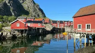 red houses on piers by the water with a hill in the background in Lofoten, Norway