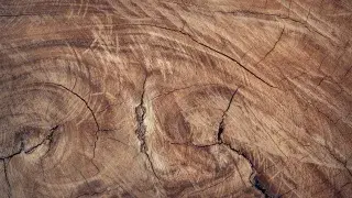 Refined brown hardwood surface, expertly finished for high-quality furniture making.