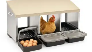 Modern roll-away chicken nesting box with a beige metal roof, three trays, and a light-brown hen inside the center compartment on a perforated platform.