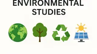 Sustainable materials used in environmental design.