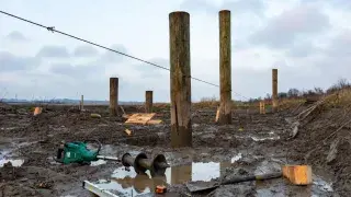 Timber piles being installed in muddy soft ground for a small DIY foundation project.