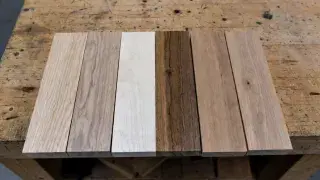 Six unfinished hardwood samples on a worn cabinetmaker’s bench.