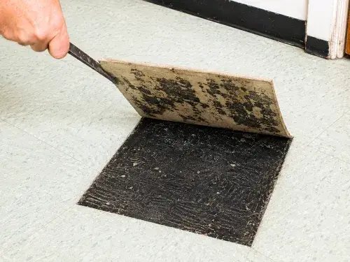 Lifted 1950s floor tile showing black adhesive under old vinyl flooring.