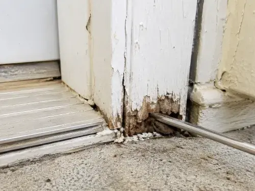 Tool checking rot at the bottom of an exterior door jamb.