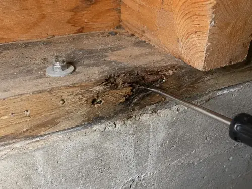Tool checking soft sill plate wood near the foundation wall.