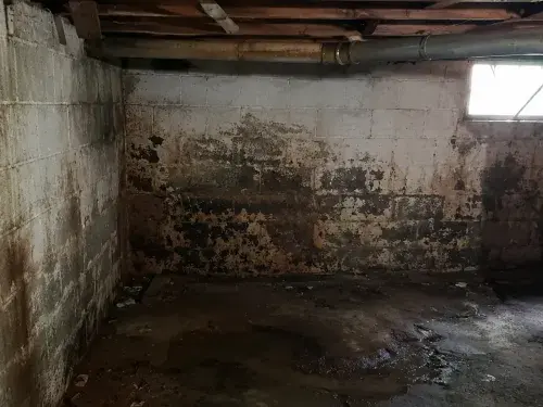 Damp basement with stained block walls, wet floor, and low wood framing.