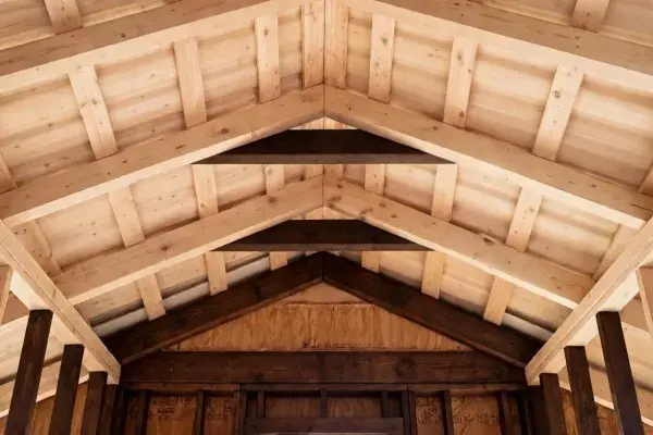 Exposed vaulted roof framing with high collar ties between opposing rafters.