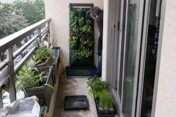 A small balcony being planned for a vertical garden with a freestanding planter, water tray, plants, and clear walking space.