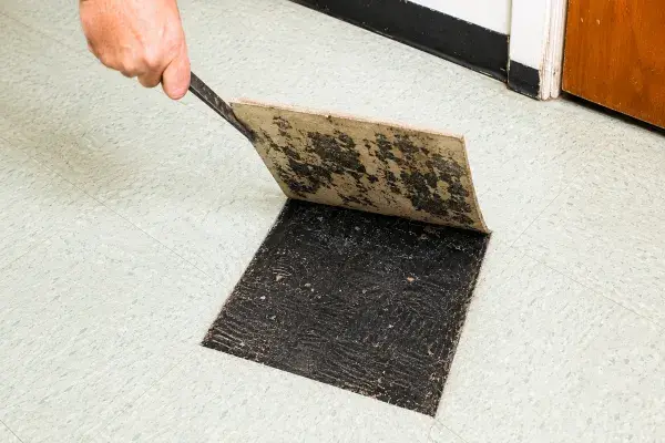 Lifted 1950s floor tile showing black adhesive under old vinyl flooring.