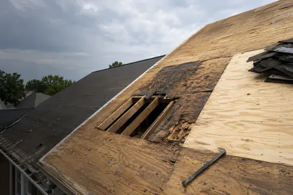 Damaged roof sheathing cut open during reroofing with new plywood installed beside it.